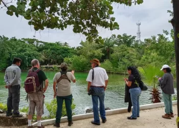 Cozumel sede de Taller de Grupo para la conservación de aves costeras de la Península de Yucatán