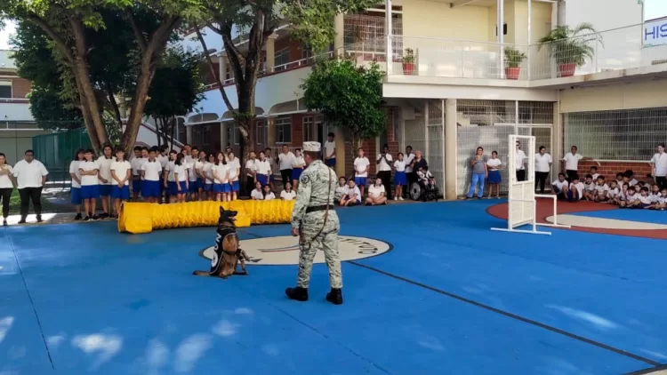 Con demostración en escuela de Cancún conmemoran el “Día Nacional del Binomio Canino”