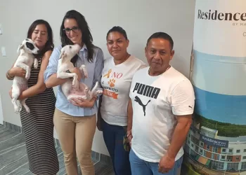 Cachorrilandia lanza campaña de esterilización ante sobrepoblación de perros callejeros en Cancún