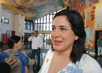 Parque industrial de Chetumal convertido en un “elefante blanco”, señala diputada