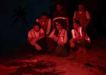 Realizan campaña de protección al cangrejo azul