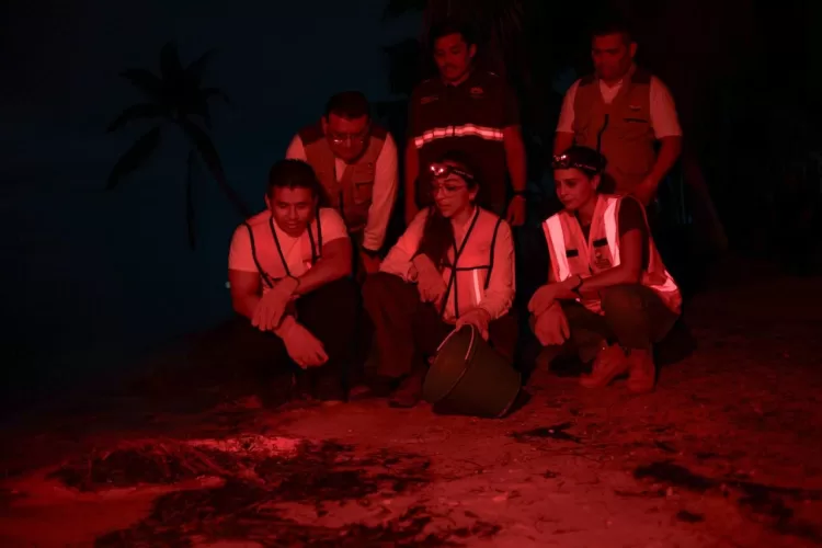 Realizan campaña de protección al cangrejo azul