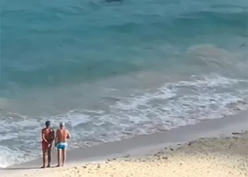 Avistan impresionante tiburón toro en las aguas de Cancún