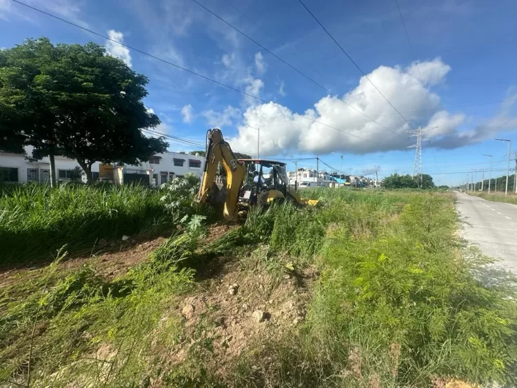 Intensifican los trabajos de limpieza del Parque de la Equidad en Cancún