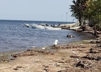 Pescadores de Xcalak piden regresar a sus lugares de origen