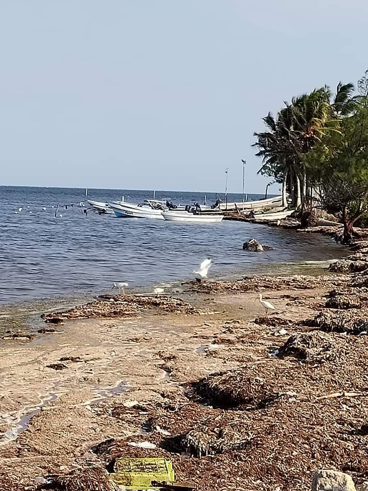 Pescadores de Xcalak piden regresar a sus lugares de origen