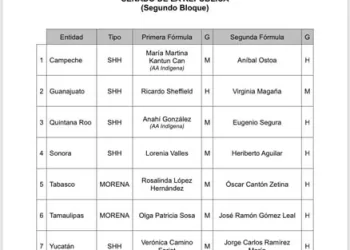 Morena anuncia precandidaturas