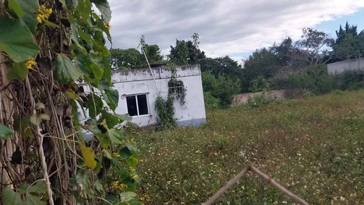 Generan problemas sanitarios lotes baldíos junto a escuela de Kantunilkín