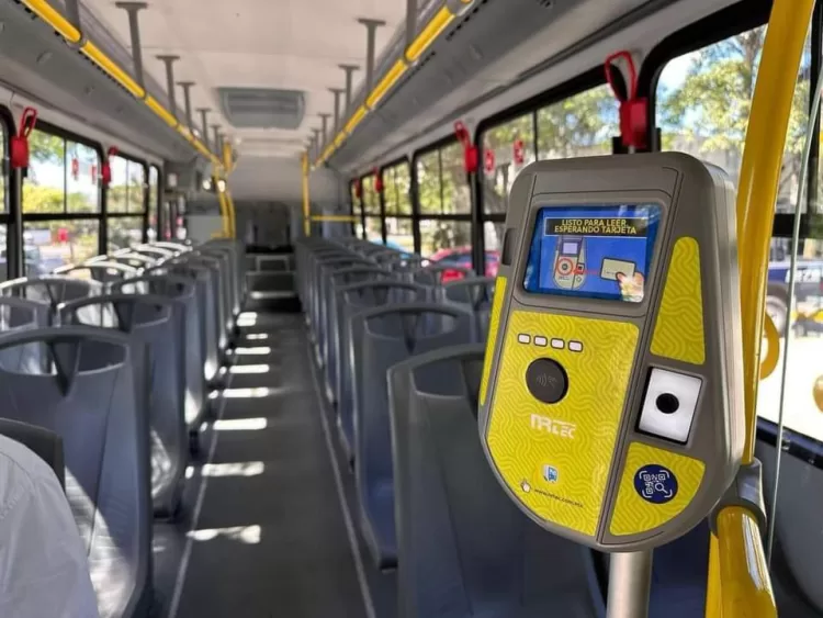 Cancún inicia transformación del transporte urbano con unidades de vanguardia