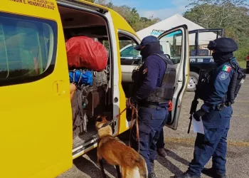 Binomios caninos se suman a operativos de vigilancia en Quintana Roo