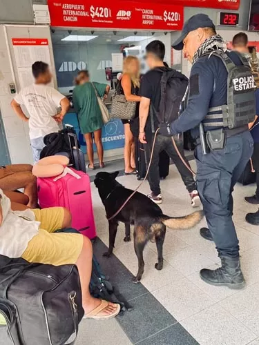 Implementan operativo de seguridad durante fin de semana largo