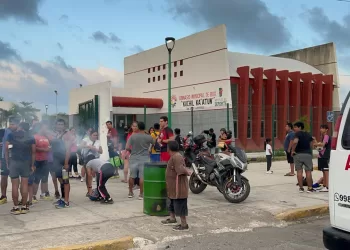 Reportan ataque de abejas en la Unidad “Toro Valenzuela”