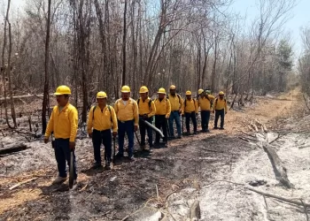 Reportan incendios forestales activos en Bacalar y Tulum