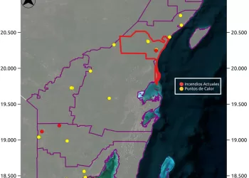 Se mantiene un incendio forestal activo en Tulum