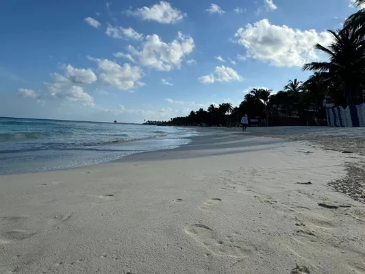 Isla Mujeres da importantes pasos hacia la certificación Blue Flag en sus playas