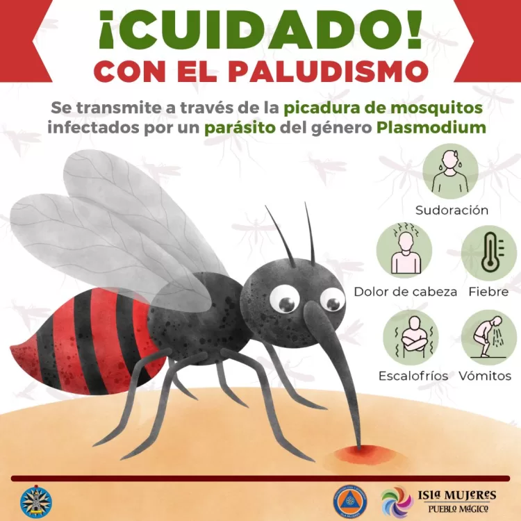 Inicia campaña contra el paludismo en Isla Mujeres
