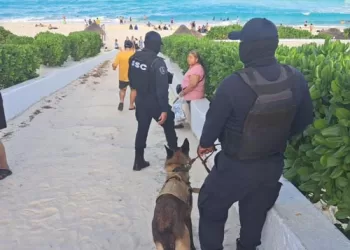 Realiza vigilancia y operativos la Unidad Canina en los 11 municipios