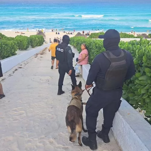 Realiza vigilancia y operativos la Unidad Canina en los 11 municipios