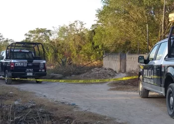 Encuentran en Alfredo V. Bonfil el cuerpo de una mujer entre la maleza