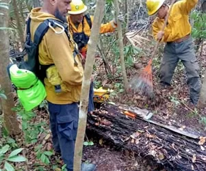 Incendio forestal en Holkin ya consumió 65 hectáreas