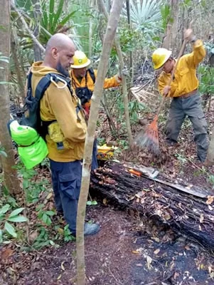 Incendio forestal en Holkin ya consumió 65 hectáreas