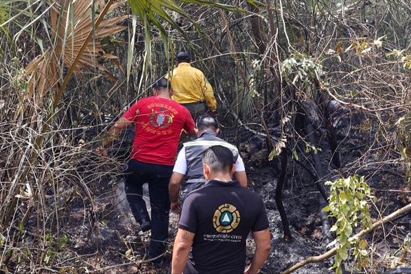 Combaten tres incendios forestales en Benito Juárez