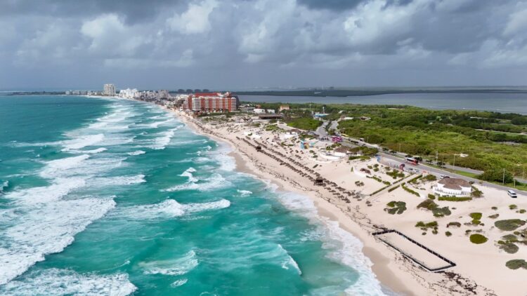 Refuerzan en Cancún medidas para proteger huevos de tortuga marinas