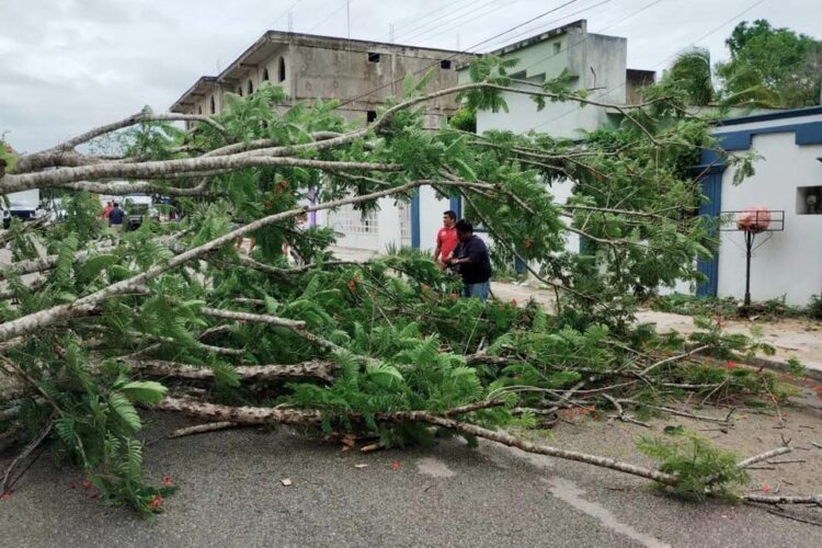 Intenso trabajo en FCP para mitigar efectos de las lluvias
