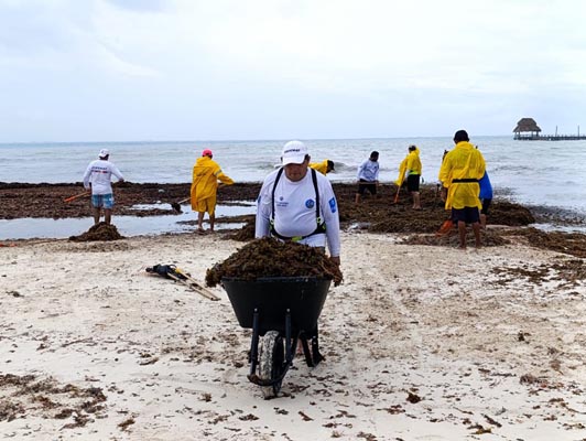 Isla Mujeres atiende en Playa Norte recale atípico de sargazo