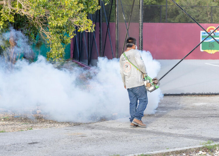 Campaña contra enfermedades transmitidas por vector en Tulum