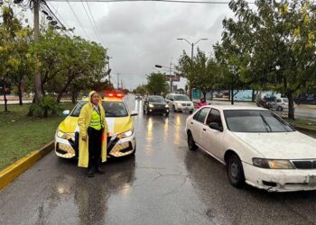 Las principales vías liberadas