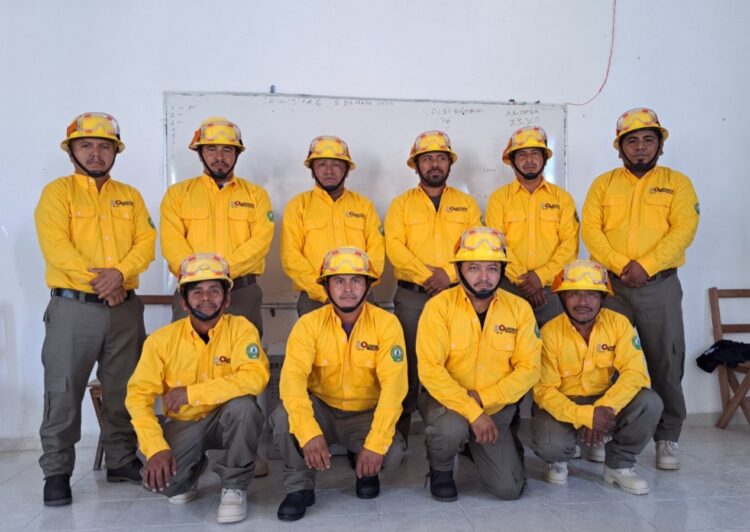 Con más de 50 mil hectáreas afectadas concluye Temporada de Incendios Forestales en Quintana Roo