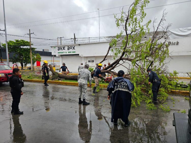 Rápida reacción gubernamental para reactivar la economía del Sur: Canirac