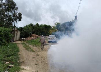 Continúan en FCP la lucha contra enfermedades causadas por vector