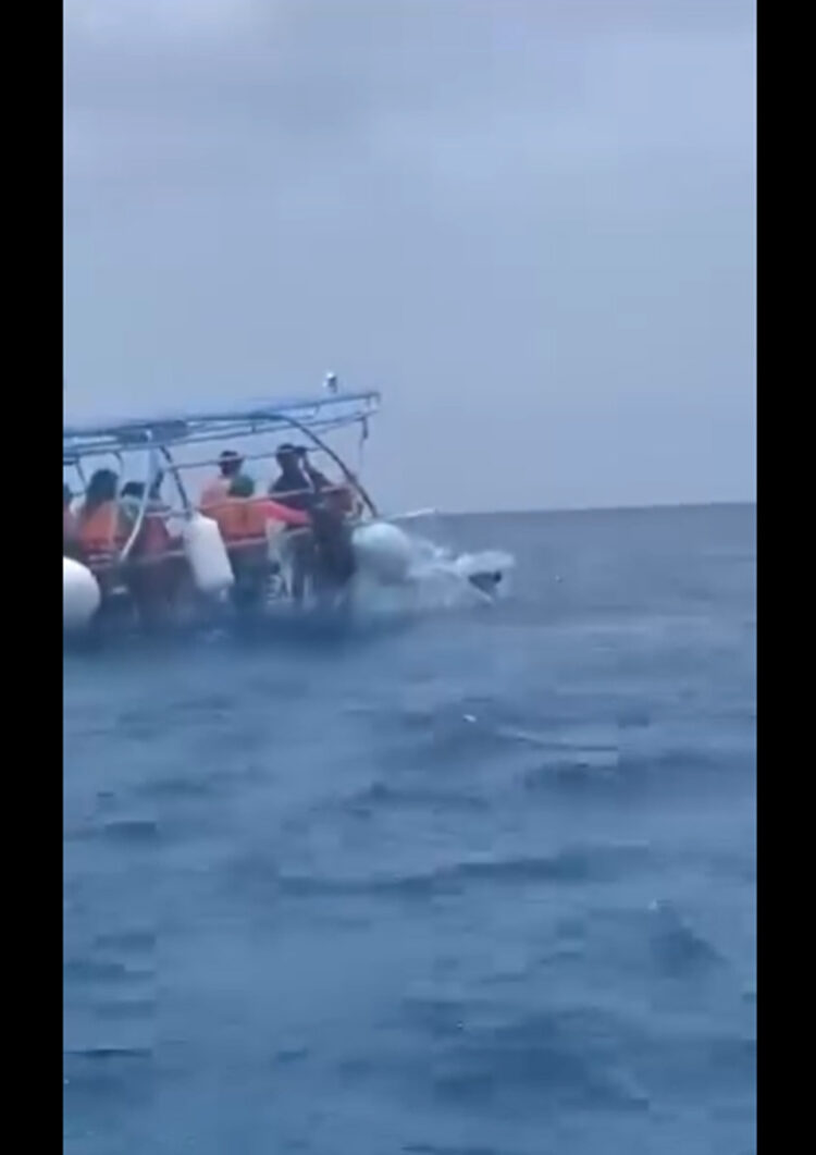 Chocan en Cozumel dos barcos con turistas a bordo; ningún lesionado grave