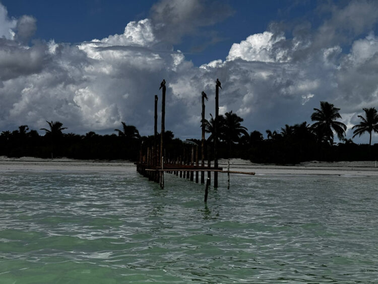 Construyen muelle sin permiso en la última zona virgen de Holbox