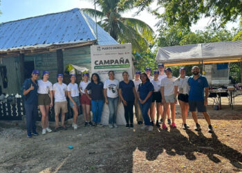 Llevan por vez primera jornada de esterilización de perros y gatos al área rural de Puerto Morelos