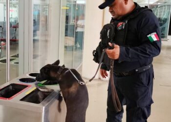 Fortalecerá la SSC la vigilancia durante las vacaciones de verano