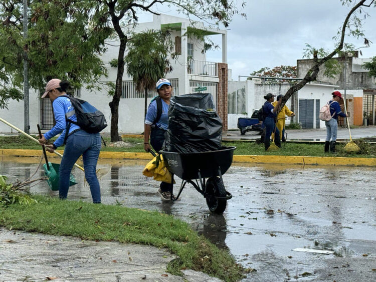 Solidaridad reanuda actividades tras paso del Huracán Beryl