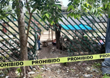 Ejecutan a taxista del Sindicato Tiburones del Caribe en Tulum