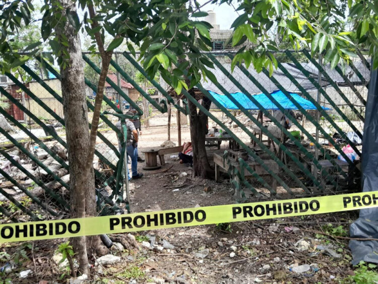 Ejecutan a taxista del Sindicato Tiburones del Caribe en Tulum