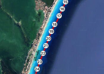 Llamado a entender y proteger al tiburón toro