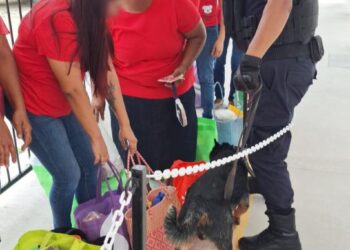Operativos de seguridad y prevención en Quintana Roo con las unidades caninas