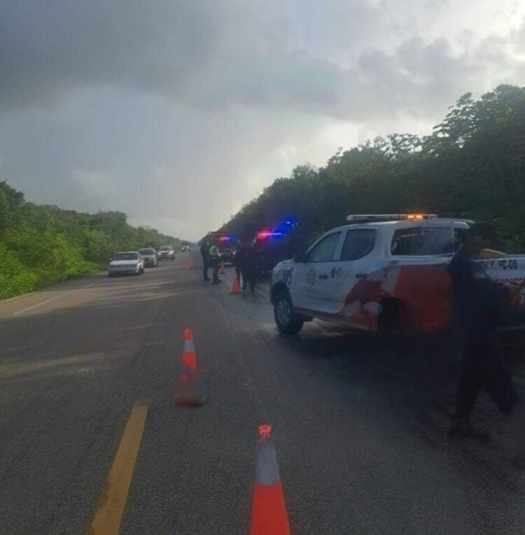 Hombre muere atropellado en la carretera Tulum-Pino Suárez