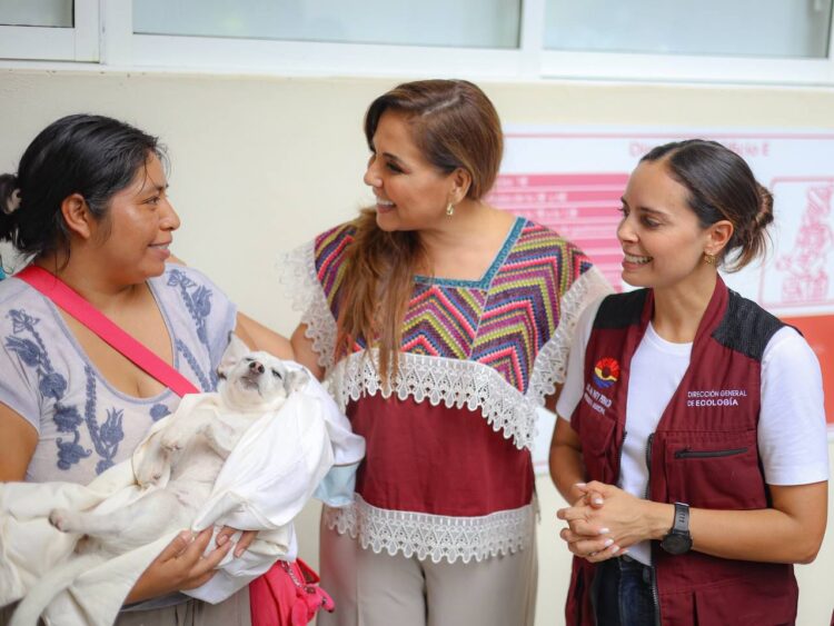 Realizan campaña de esterilización gratuita de mascotas en Cancún