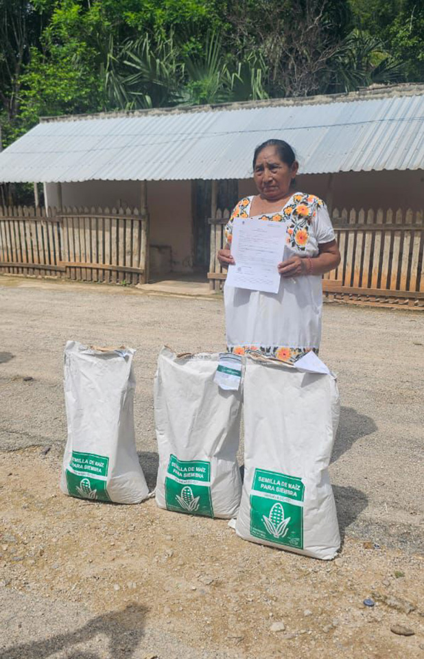 Agricultores de Felipe Carrillo Puerto reciben semillas de maíz