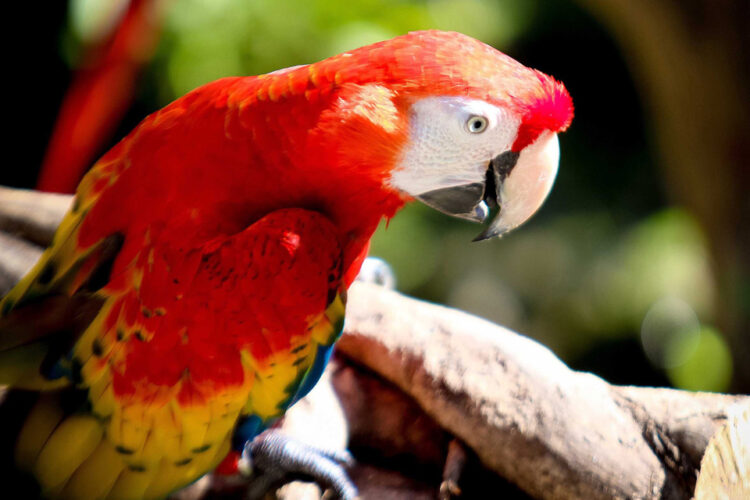 Grupo Xcaret concluye otro ciclo del Programa de Visitas Escolares