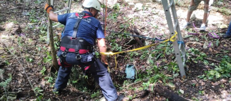 Bomberos de Tulum Rescatan a “Fiona”, perrita que cayó en un Cenote