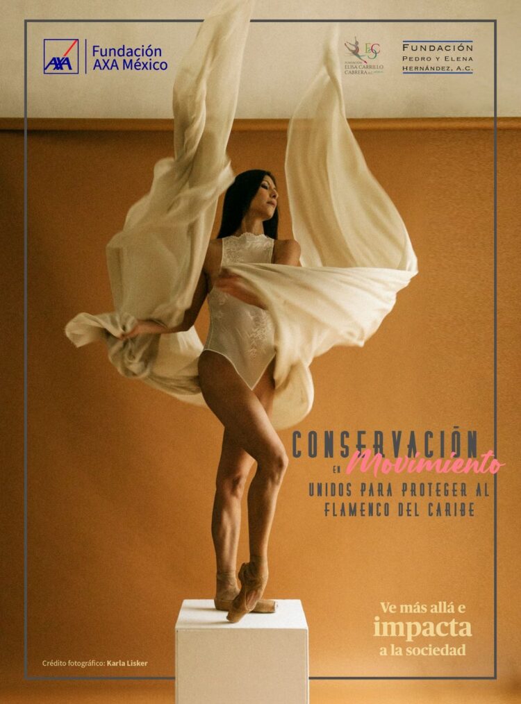 Organizaciones civiles se unen en la protección del flamenco en México
