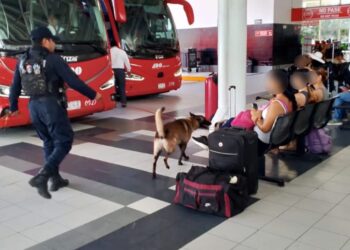 Mantienen con unidad canina los operativos de prevención del delito